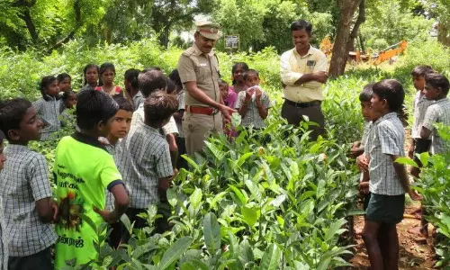 மரக்கன்றுகள் பராமரிப்பு குறித்து மாணவர்களுக்கு செயல்விளக்கம்