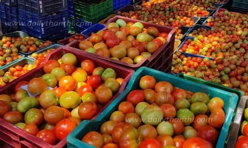 ஒரு கிலோ தக்காளி ரூ.100-க்கு ஏலம்