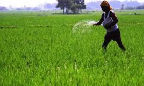 விவசாயிகள் குறைதீர்க்கும் கூட்டம்