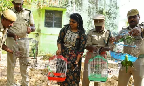 18 கிளிகள் வனப்பகுதியில் விடப்பட்டன