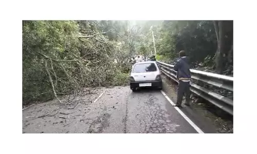 கோத்தகிரி-மேட்டுப்பாளையம் சாலையில்ராட்சத மரம் விழுந்து போக்குவரத்து பாதிப்பு கோத்தகிரி-மேட்டுப்பாளையம் சாலையில்ராட்சத மரம் விழுந்து போக்குவரத்து பாதிப்பு