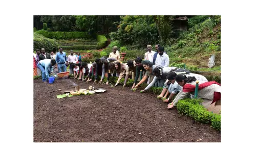 ஊட்டியில் 2-வது சீசனுக்காகமலர் நாற்றுகள் நடும் பணி தொடக்கம்