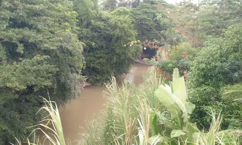 ஆக்கிரமிப்பால் சுருங்கிய முல்லைப்பெரியாறு