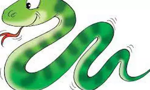 கோழிக்கூண்டில் புகுந்த பாம்பு கடித்து முதியவர் சாவு