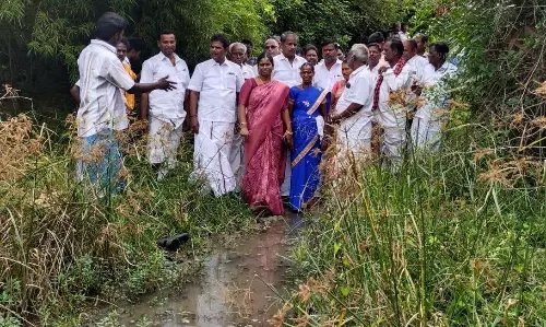 ஓடையில் பாலம் அமைக்க நடவடிக்கை