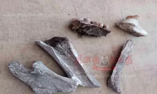 விஜயகரிசல்குளம் அகழாய்வில் எலும்புகள் கண்டெடுப்பு