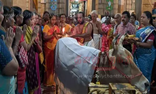 ராஜகோபால சுவாமி கோவிலில் கோ பூஜை ராஜகோபால சுவாமி கோவிலில் கோ பூஜை