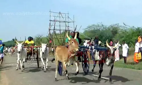 மாட்டு வண்டி பந்தயம்