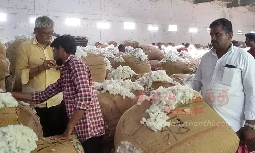 ரூ.2 கோடிக்கு பருத்தி ஏலம் ரூ.2 கோடிக்கு பருத்தி ஏலம்