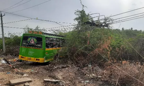 தறிகெட்டு ஓடிய மினி பஸ் மின்கம்பத்தில் மோதி புதருக்குள் புகுந்தது