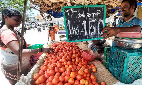 ஒரு கிலோ தக்காளி ரூ.150-ஐ எட்டியது