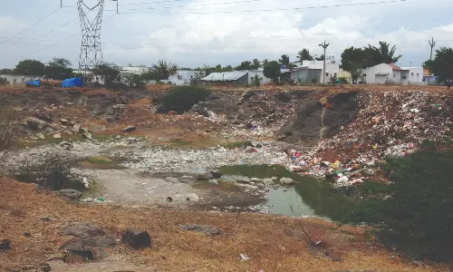 சுகாதார சீர்கேடுகள் சுகாதார சீர்கேடுகள்