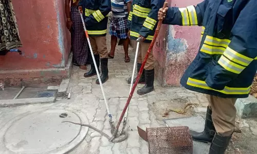 போடியில் வீட்டுக்குள் புகுந்த பாம்பு