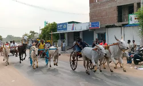 மாட்டு வண்டி எல்கை பந்தயம் மாட்டு வண்டி எல்கை பந்தயம்