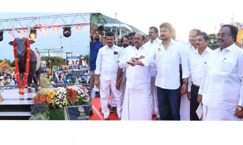 ரூ.25 லட்சம் மதிப்பில் காளை சிலையுடன் கூடிய ரவுண்டானா