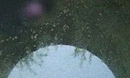 திருச்சி மாநகரில் நாளை குடிநீர் வினியோகம் நிறுத்தம் திருச்சி மாநகரில் நாளை குடிநீர் வினியோகம் நிறுத்தம்