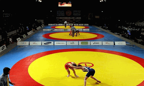 ஆசிய விளையாட்டு போட்டிக்கான இந்திய மல்யுத்த அணிக்கு பஜ்ரங் பூனியா, வினேஷ் போகத் நேரடி தேர்வு