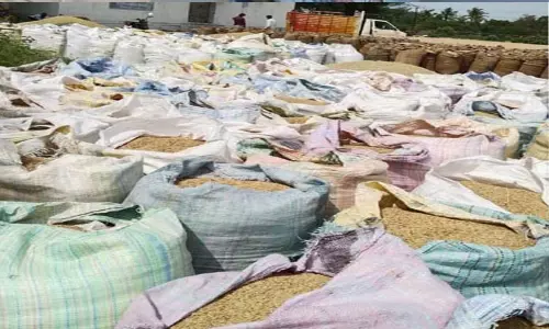 ஒரேநாளில் 2,500 நெல் மூட்டைகள் விற்பனை