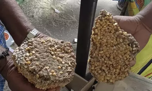 ரேஷன் கடையில் மக்கிப்போன பருப்பு வினியோகம்