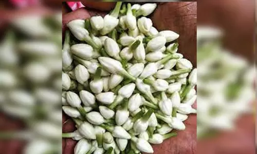 சேலத்தில் பூக்கள் விலை வீழ்ச்சி சேலத்தில் பூக்கள் விலை வீழ்ச்சி