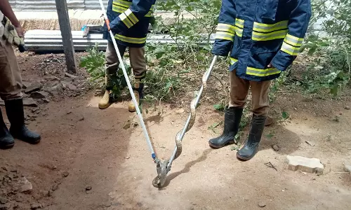 போடி அருகே வீட்டுக்குள் புகுந்த பாம்பு