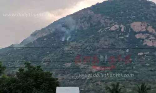 தீபமலைக்கு தீ வைத்த மர்மநபர்கள் தீபமலைக்கு தீ வைத்த மர்மநபர்கள்