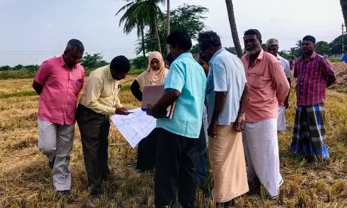 மயான பாதை அமைப்பது குறித்து சப்- கலெக்டர் ஆய்வு