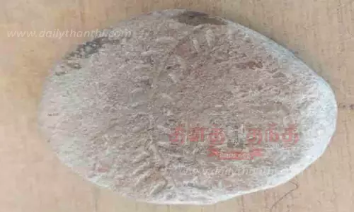 பழங்காலத்தில் பச்சைக்குத்த பயன்படுத்திய அச்சு பழங்காலத்தில் பச்சைக்குத்த பயன்படுத்திய அச்சு