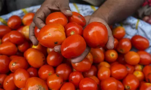 மானியத்தில் விற்கப்படும் தக்காளி விலையை  ரூ.70 ஆக குறைத்த மத்திய அரசு