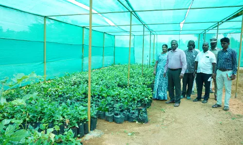 வளர்ச்சி பணிகளை கலெக்டர் ஆய்வு