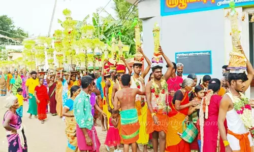 சோழவந்தான் அருகே முளைப்பாரி திருவிழா சோழவந்தான் அருகே முளைப்பாரி திருவிழா