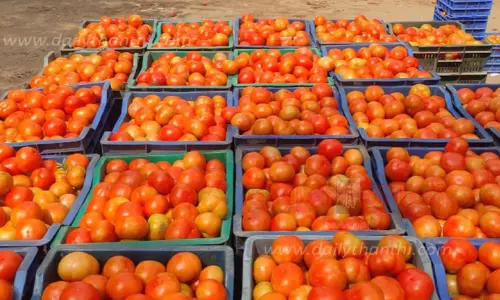 தொடர்ந்து ஏறுமுகத்தில் இருந்த நிலையில் தக்காளி, சின்ன வெங்காயம் விலை கிலோவுக்கு ரூ.20 குறைவு