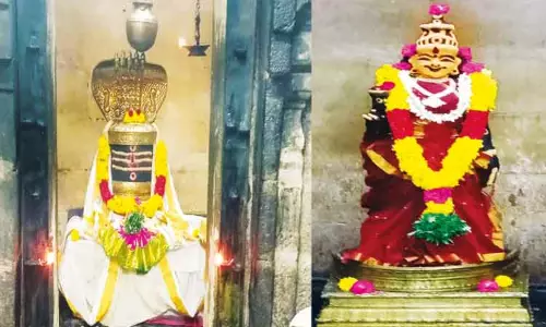இலந்தை மரத்தில் வெளிப்பட்ட சோமநாதர்