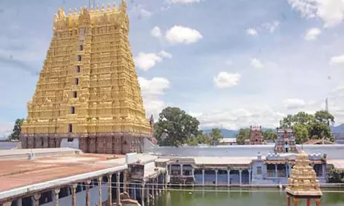 சங்கரநாராயண சுவாமி கோவிலில் ஆடித்தபசு திருவிழா 21-ந் தேதி தொடங்குகிறது சங்கரநாராயண சுவாமி கோவிலில் ஆடித்தபசு திருவிழா 21-ந் தேதி தொடங்குகிறது