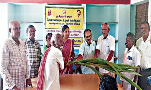 விவசாயிகளுக்கு மானிய விலையில் தென்னங்கன்றுகள் விவசாயிகளுக்கு மானிய விலையில் தென்னங்கன்றுகள்
