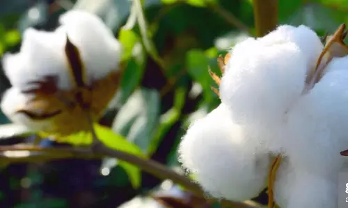 வேலை நிறுத்தத்தில் ஈடுபட ஜவுளி துறையினர் முடிவு