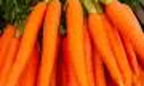 வரத்து குறைவால்தர்மபுரி உழவர் சந்தையில் கேரட் விலை உயர்வுகிலோ ரூ.75-க்கு விற்பனை