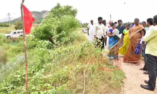 வளர்ச்சி திட்ட பணிகளை கலெக்டர் உமா ஆய்வு