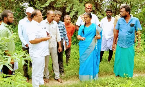 நெமிலி ஒன்றியத்தில் கலெக்டர் வளர்மதி ஆய்வு