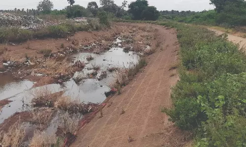 புதர் மண்டியும், சேதமடைந்தும் காணப்படும் அமராவதி பிரதான கால்வாயை பராமரிக்க வேண்டும்