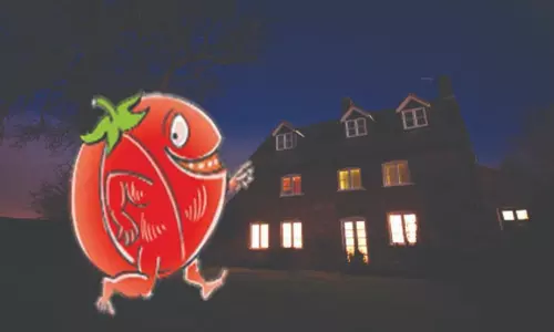 தக்காளி தந்த பாதுகாப்பு