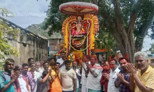நெடுங்குணம் கிராமத்தில் அஷ்டபுஜ காளியம்மன் சிம்ம வாகனத்தில் வீதி உலா