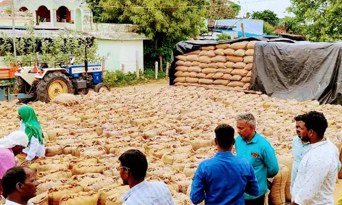 நேரடி நெல்கொள்முதல் நிலையத்தில் தாசில்தார் ஆய்வு