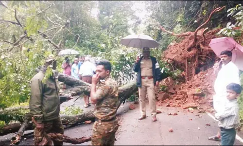 நீலகிரி மாவட்டத்தில் தொடர் மழை: 10 இடங்களில் மரங்கள் முறிந்து விழுந்தன நீலகிரி மாவட்டத்தில் தொடர் மழை: 10 இடங்களில் மரங்கள் முறிந்து விழுந்தன