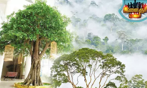 பிளாஸ்டிக் மரம்..!