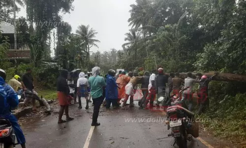 3 இடங்களில் மரம் விழுந்து போக்குவரத்து பாதிப்பு