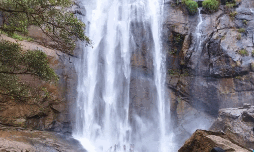 ஆகாயகங்கை நீர்வீழ்ச்சிக்கு செல்ல அனுமதியில்லை - வனத்துறை ஆகாயகங்கை நீர்வீழ்ச்சிக்கு செல்ல அனுமதியில்லை - வனத்துறை