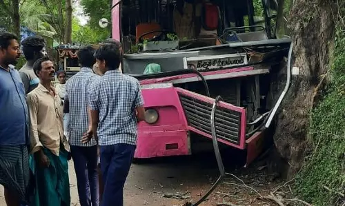 மரத்தில் பஸ் மோதல்; 10 பேர் காயம்