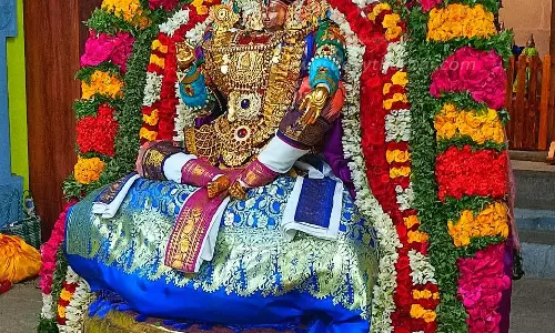 வீர நரசிம்மருக்கு சிறப்பு வழிபாடு