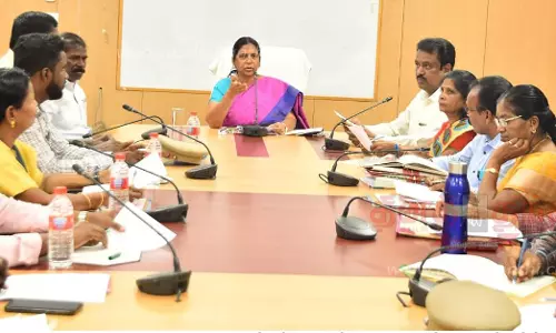 வருகிற 2-ந் தேதி முதல் 3 நாட்கள்ஒகேனக்கல் ஆடிப்பெருக்கு விழாவை சிறப்பாக கொண்டாட நடவடிக்கைஆலோசனை கூட்டத்தில் கலெக்டர் சாந்தி தகவல்